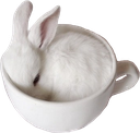 t_buncup Discord emoji
