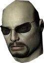 bruhswan