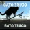 Cat_GATOTRUCO
