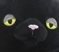 tudisappointed tudisappointed