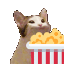 GIFCatPopcornEat Discord Emoji