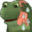 GIFFrogNervousWorrySweat Discord Emoji