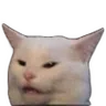 132_sn_ConfusedCat