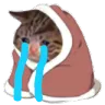 sadcatcry sadcatcry
