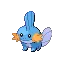 Mudkip