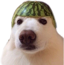 perromelon Discord emoji