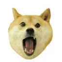 dog2