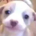 a_