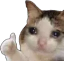 sadcatthumbsup