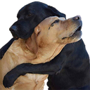 Dogs_Hugging Discord emoji