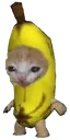poosBananaCat