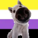 snootnb snootnb