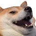 kekdog