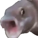 M_PogFish