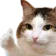 ThumbsUp