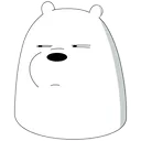 icebearstare3
