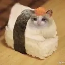SushiCat SushiCat