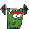 gifsc_ashgymboi