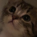 ccc_toast_baby_rip_NF2U Discord emoji