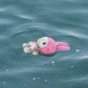 NL_memori