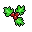 hollyleaves
