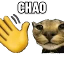 chao