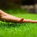 GC_TouchGrass
