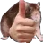 ratthumbsup