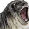 3_
