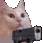 CatGun