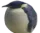 cang