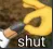 ccgg_birdshut