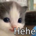 hehe hehe