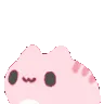 pinkvibe pinkvibe