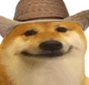 dogsmirkCowboy