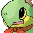 aeroTurtwig