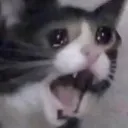 AAAAA AAAAA