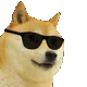 doge
