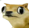 froge