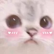 adelemBlushy