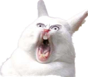 bite_SF Discord emoji
