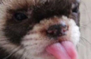 aidan Discord emoji