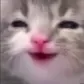cat_cry