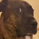 ummm