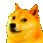 PartyDoge PartyDoge