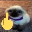 fuckyua fuckyua