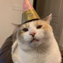 CFtoscat Discord emoji