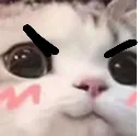 anguwu anguwu