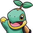 TurtwigWaveS