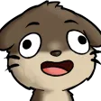 ccolorDerp